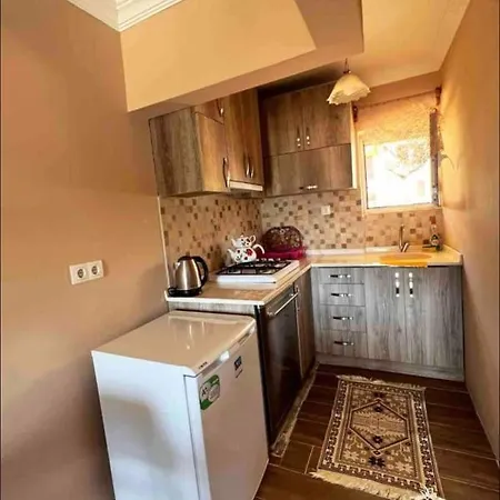 Ilknur Apart Apartament